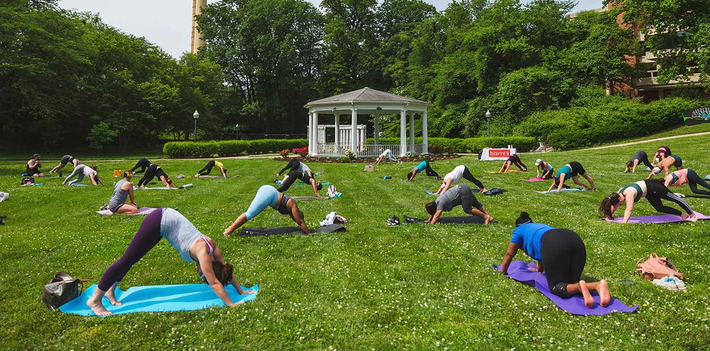 An outdoor yoga class in the grass.