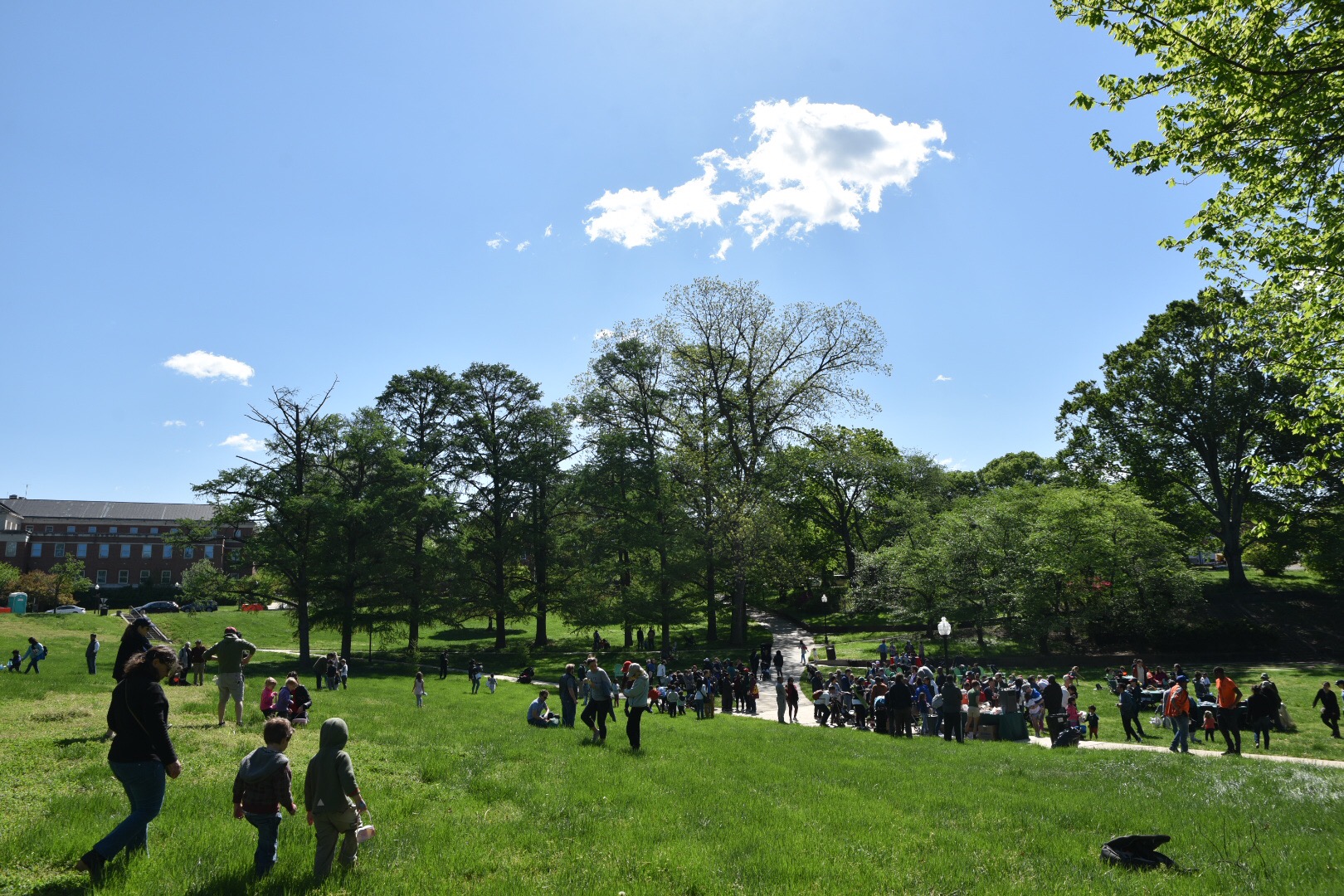 The Great Lawn with a crowd of people.