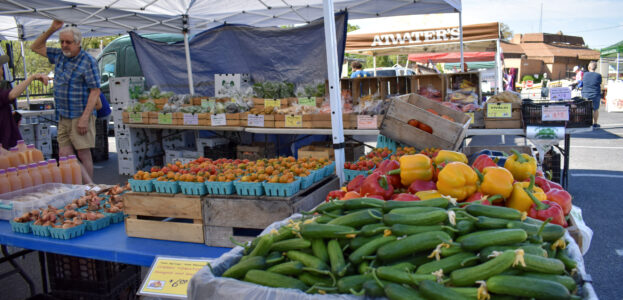 A stall at a farmers market.